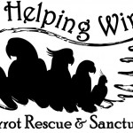 helping-wingrescue