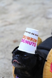 dunkin_donuts