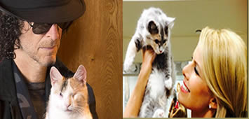 Celebrities and Their Pets: Howard and Beth Stern - Pet Pics Daily